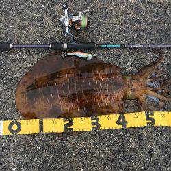 ２キロアップ！