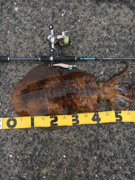 ２キロアップ！