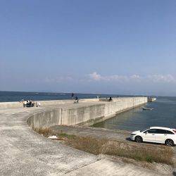 タコ、カワハギ