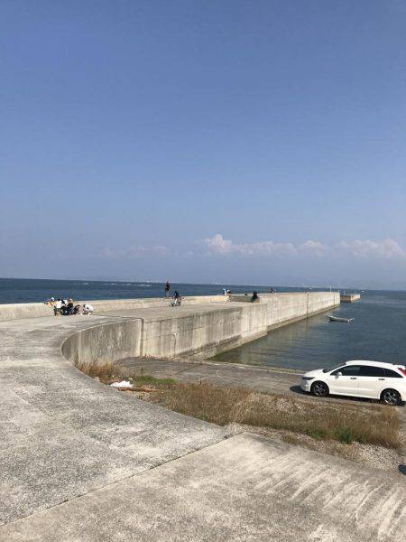 タコ、カワハギ