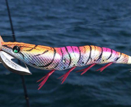 産卵日前後狙い打ち陸っぱりエギング