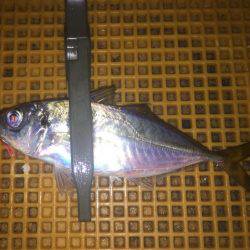 リバーアジング