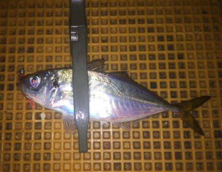 リバーアジング