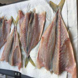 ツバス情報を見て出かけました。