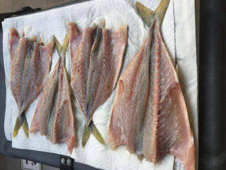 ツバス情報を見て出かけました。