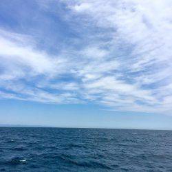 強風で釣行変更