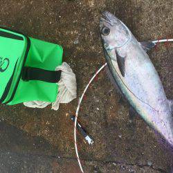 南の島に遠征！