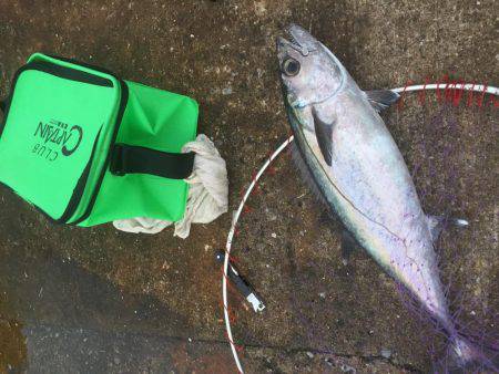 南の島に遠征！