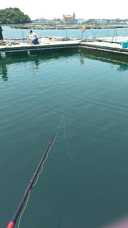 カタタ釣り堀でヒラマサ、カンパチ狙い