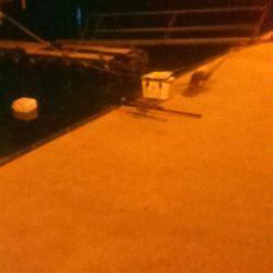 サビキ釣りでイワシ、子アジ狙い