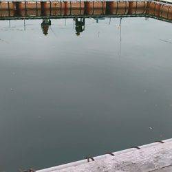 カタタ釣り堀でヒラマサ、カンパチ狙い