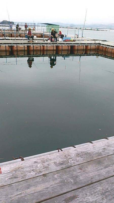 カタタ釣り堀でヒラマサ、カンパチ狙い