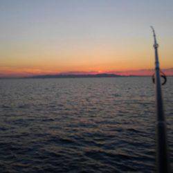 エソとタチウオを求めて!