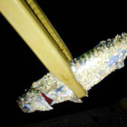 型も数もイイ感じでした！