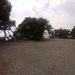 雨上がりキス釣り