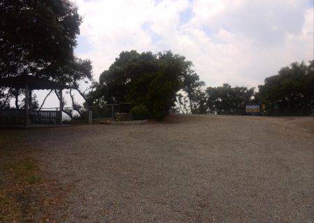 雨上がりキス釣り