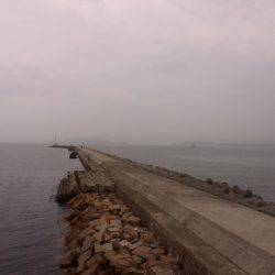 真昼のキス釣り