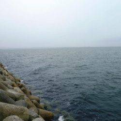 超サイズダウン