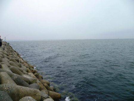 超サイズダウン