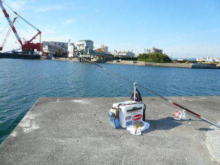 淡路のキスが釣れ始めました