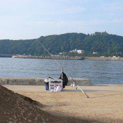 洲本砂場・洲本川で良型キスが釣れました