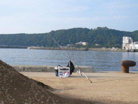洲本砂場・洲本川で良型キスが釣れました