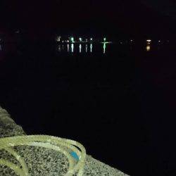 伊根でアジング