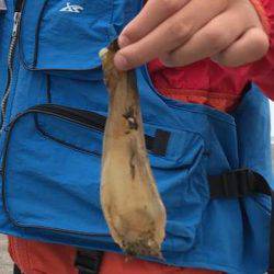 ん？ツバスは？