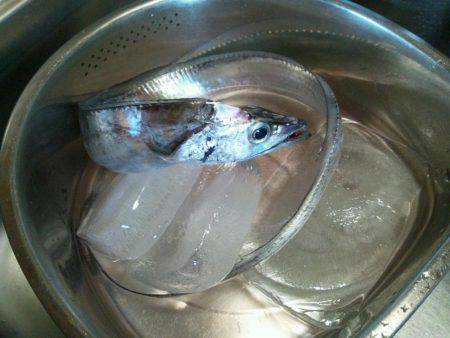 水軒でタチウオ