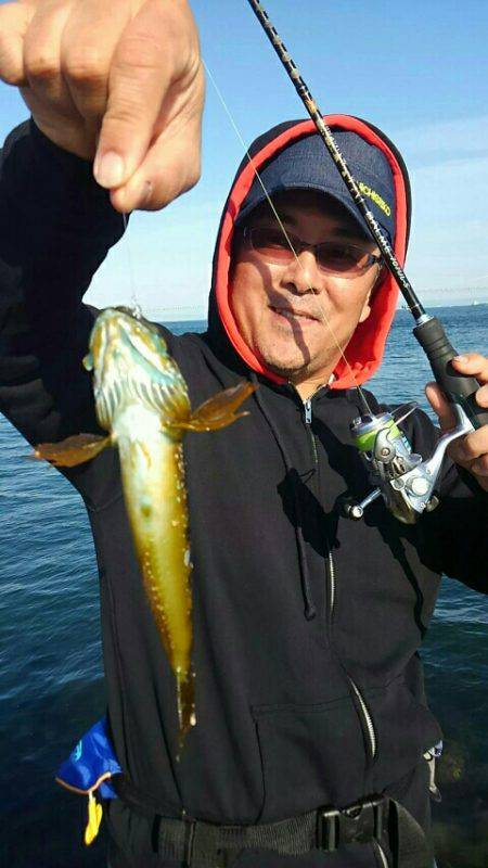 サイトフィッシング!デイライトゲームで5目達成♪