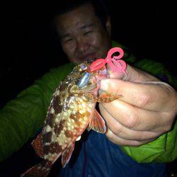 アコウが釣りたいねん‼