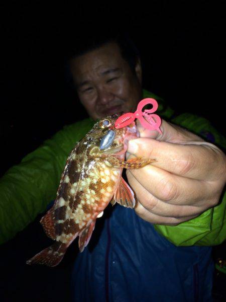 アコウが釣りたいねん‼