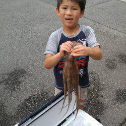 明石のタコ釣り