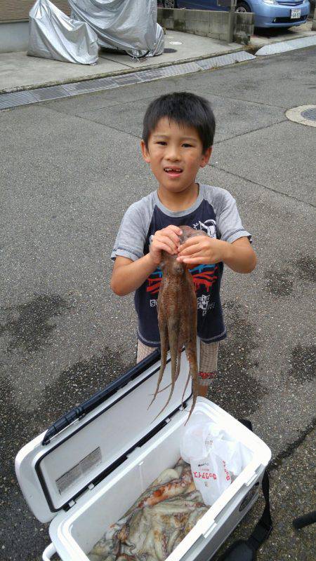 明石のタコ釣り