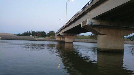 シーバスを求めて