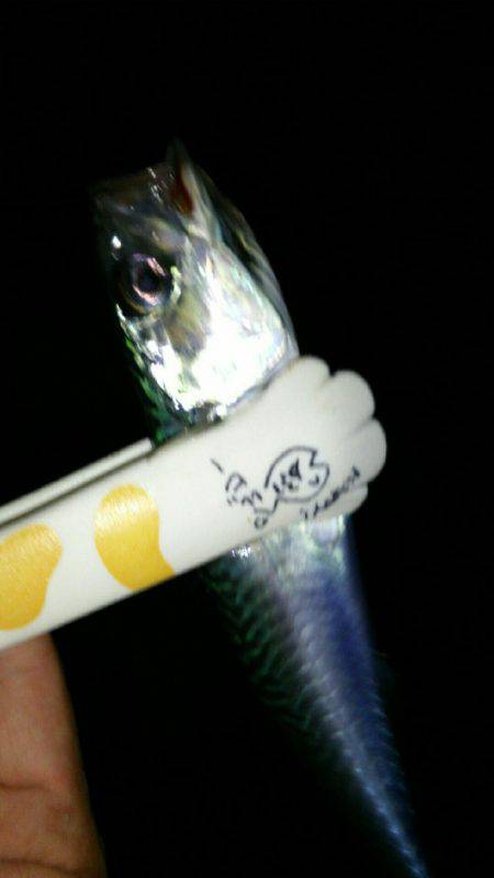 ワームローテーションでメバルイレグイ♪