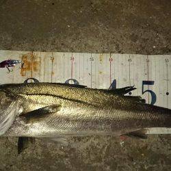 本命……悪戦苦闘……のはずが