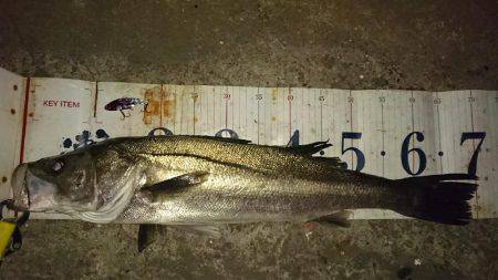 本命……悪戦苦闘……のはずが