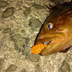 試したかった事……