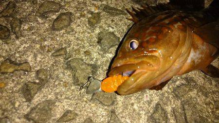 試したかった事……