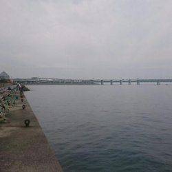 弱い者いじめ(^_^;)