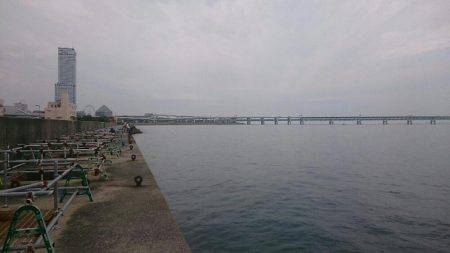 弱い者いじめ(^_^;)