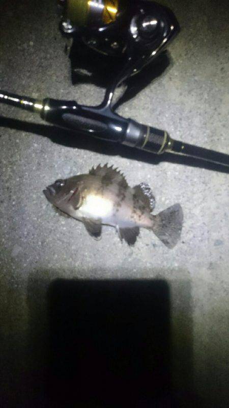 キワキワメバリング