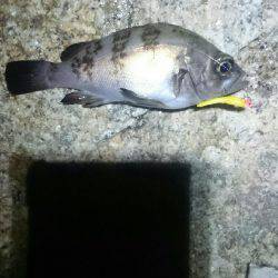 そんなに甘くない