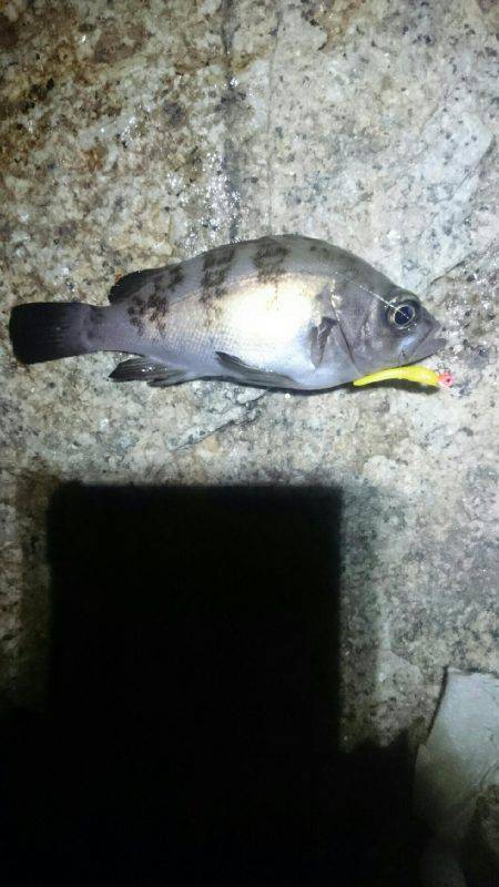 そんなに甘くない