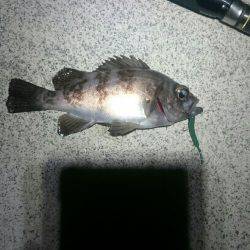 そろそろかな。