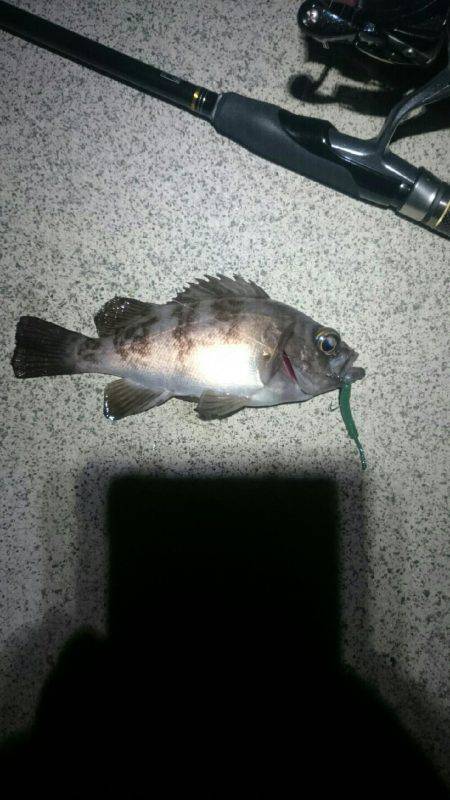 そろそろかな。