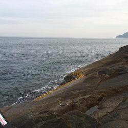 43.5センチのグレが釣れた