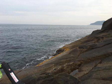 43.5センチのグレが釣れた