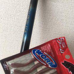 ダイソー釣具でカープフィッシング★